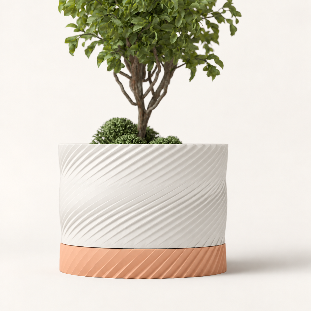 Novimea — Elfenbein / Apricot. Farbvisualisierung nach Originaldesign; Lieferumfang laut Produktbeschreibung.